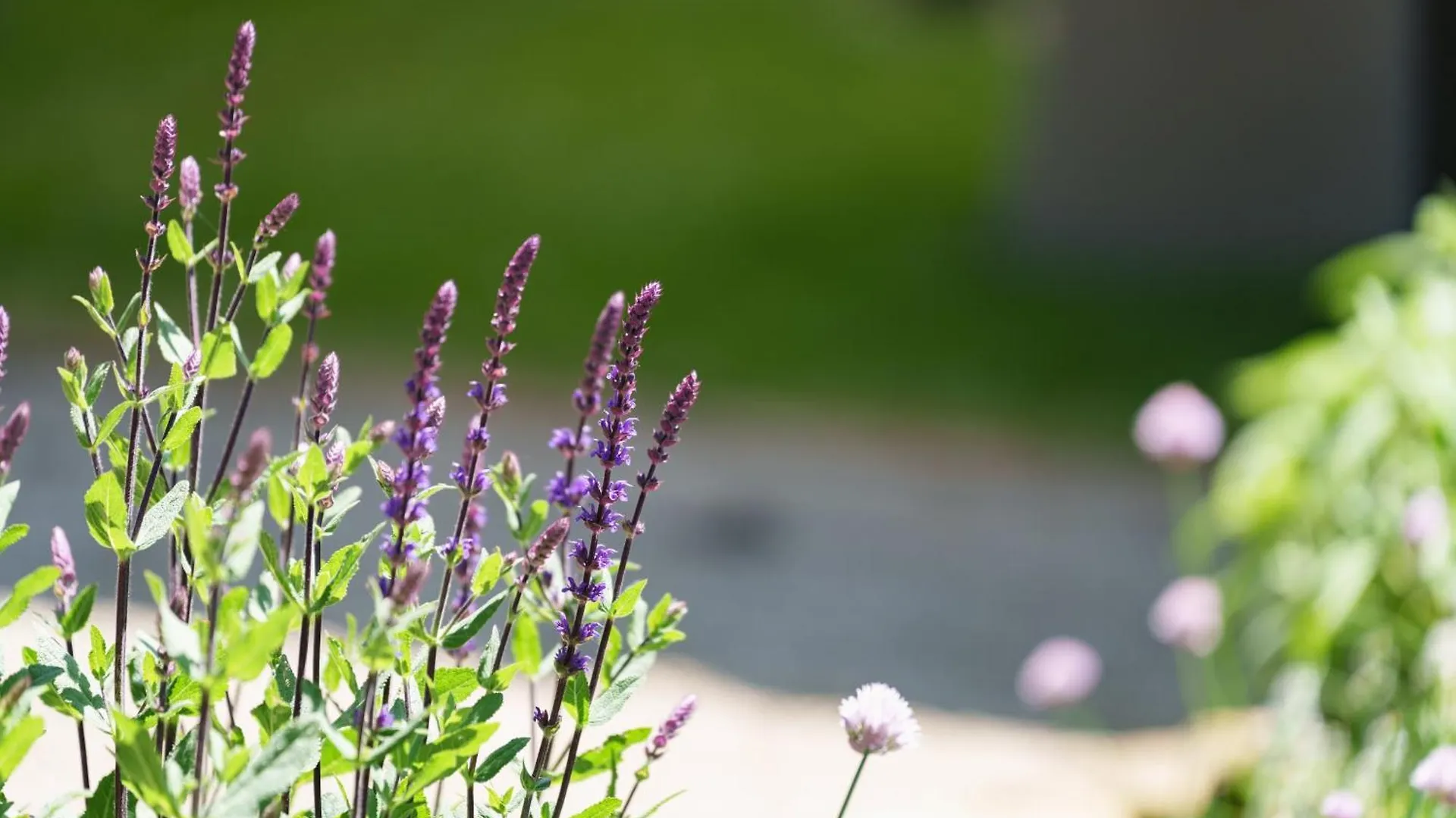 ****  ホテル Les Jardins D'Anais ルクセンブルク ルクセンブルク